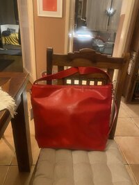 IMG_4529.jpeg