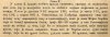 STECCI2A_2890.jpg