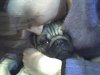 17-12-07_2200.jpg