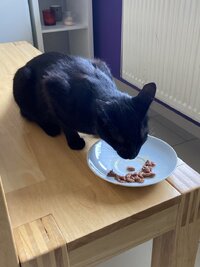 IMG_2738.jpeg