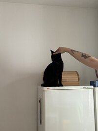 IMG_2741.jpeg