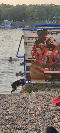 IMG_20240816_185546.jpg