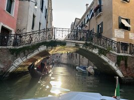 IMG_4784.jpeg
