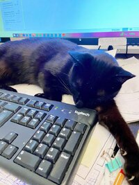 IMG_3310.jpeg