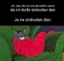 slobodan dan.jpg