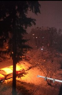 IMG_20241120_213833.jpg