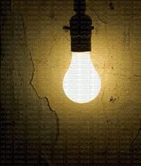 1732898467809.jpeg