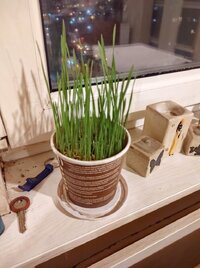IMG_20241219_192727598.jpg