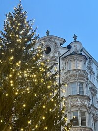 IMG_9822.jpeg