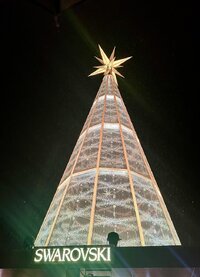 IMG_9836.jpeg