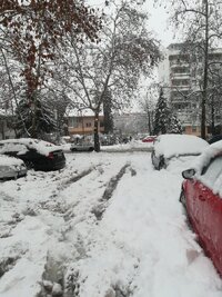 IMG_20241224_120619.jpg