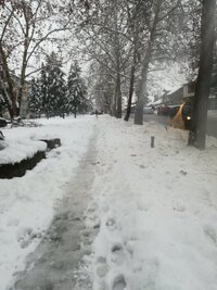 IMG_20241224_112757.jpg