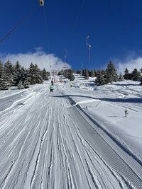 IMG_4956.jpeg