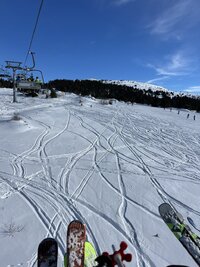 IMG_4995.jpeg