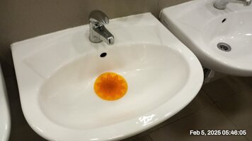IMG_20250205_054605.jpg