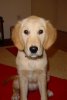 DSC00309.jpg
