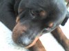 DSC00016.JPG