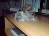 DSC00428.jpg