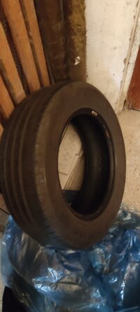 IMG_20250313_084820.jpg