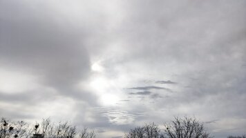 IMG_20250314_083920.jpg