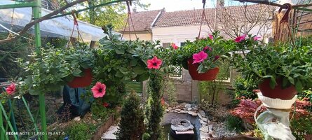 IMG_20250405_101443.jpg