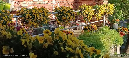 IMG_20250409_173536.jpg