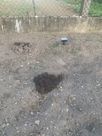 IMG_4898.jpeg