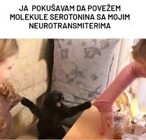 srećasrećaradost.jpg