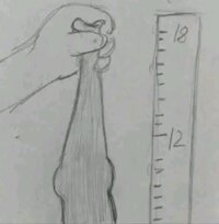 1000008127.jpg