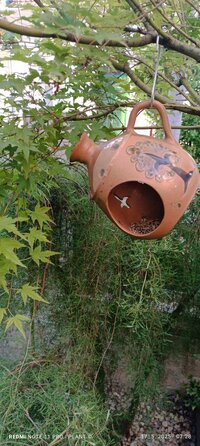 IMG_20250517_072841.jpg
