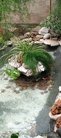 IMG_20250516_133917.jpg