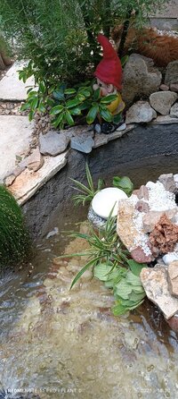 IMG_20250517_103032.jpg