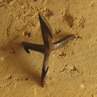 Roman_caltrop.jpg