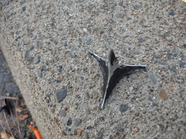 Screenshot 2025-05-17 at 17-49-44 Reddit - https __preview.redd.it_found-this-in-my-tire-today...png