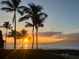 IMG_0481.jpeg
