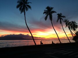 IMG_1238.jpeg