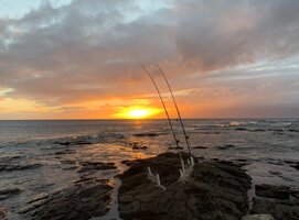 IMG_1236.jpeg