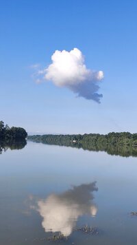 IMG_20250531_073519.jpg