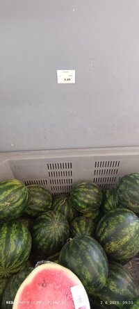 IMG_20250602_093310.jpg