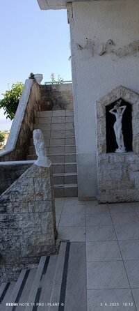 IMG_20250603_101231.jpg