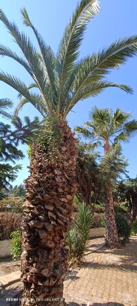 IMG_20250603_100839.jpg
