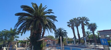 IMG_20250603_100259.jpg