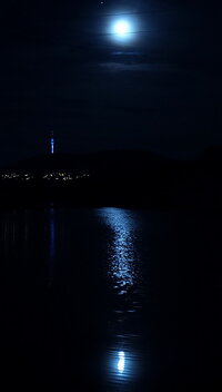 20221008_192606.jpg