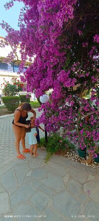 IMG_20250606_092016.jpg
