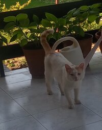 IMG_20250607_180248.jpg