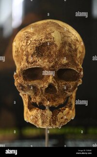 homo-sapiens-cro-magnon-early-modern-human-european-upper-paleolithic-FX9XA0.jpg