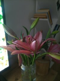 IMG_20250608_152339.jpg