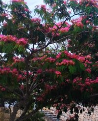 IMG_20250610_143417.jpg