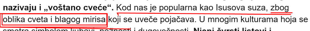 NENO 1.png