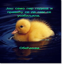 цветех.jpg